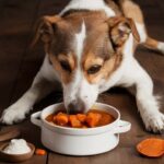sweet-potato-and-beef-stew-for-dog